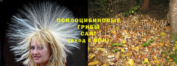 jwh Абинск