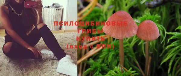 spice Алексин