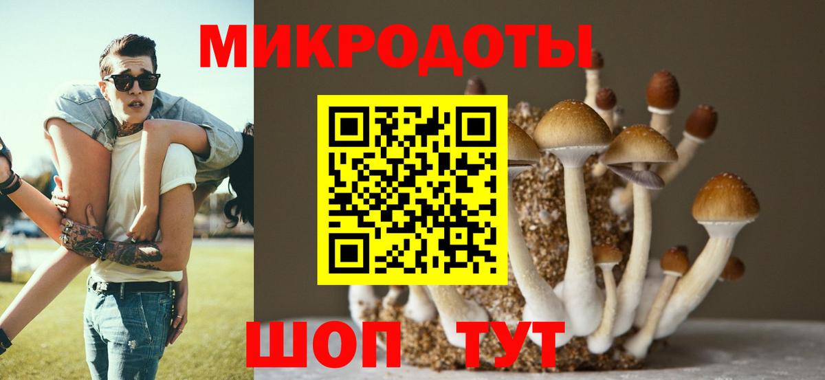 Галлюциногенные грибы Psilocybine cubensis Тольятти